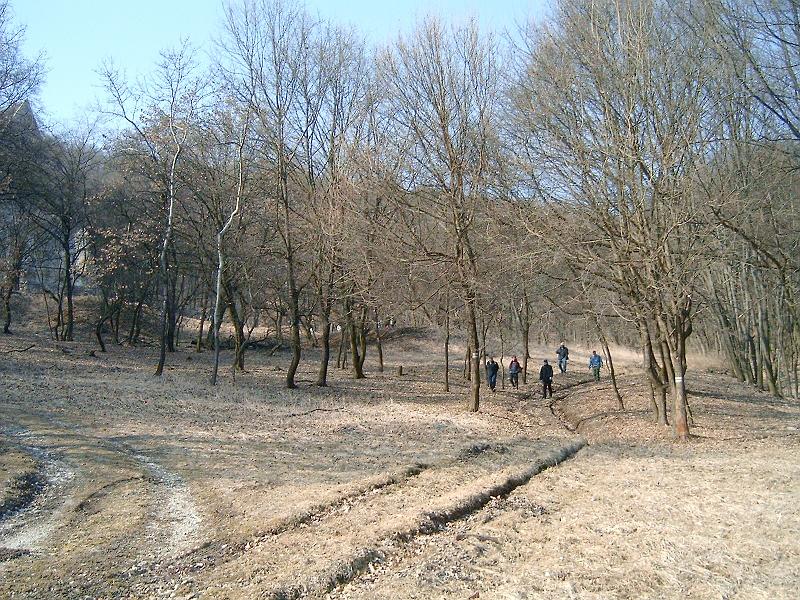 20110312 046.jpg